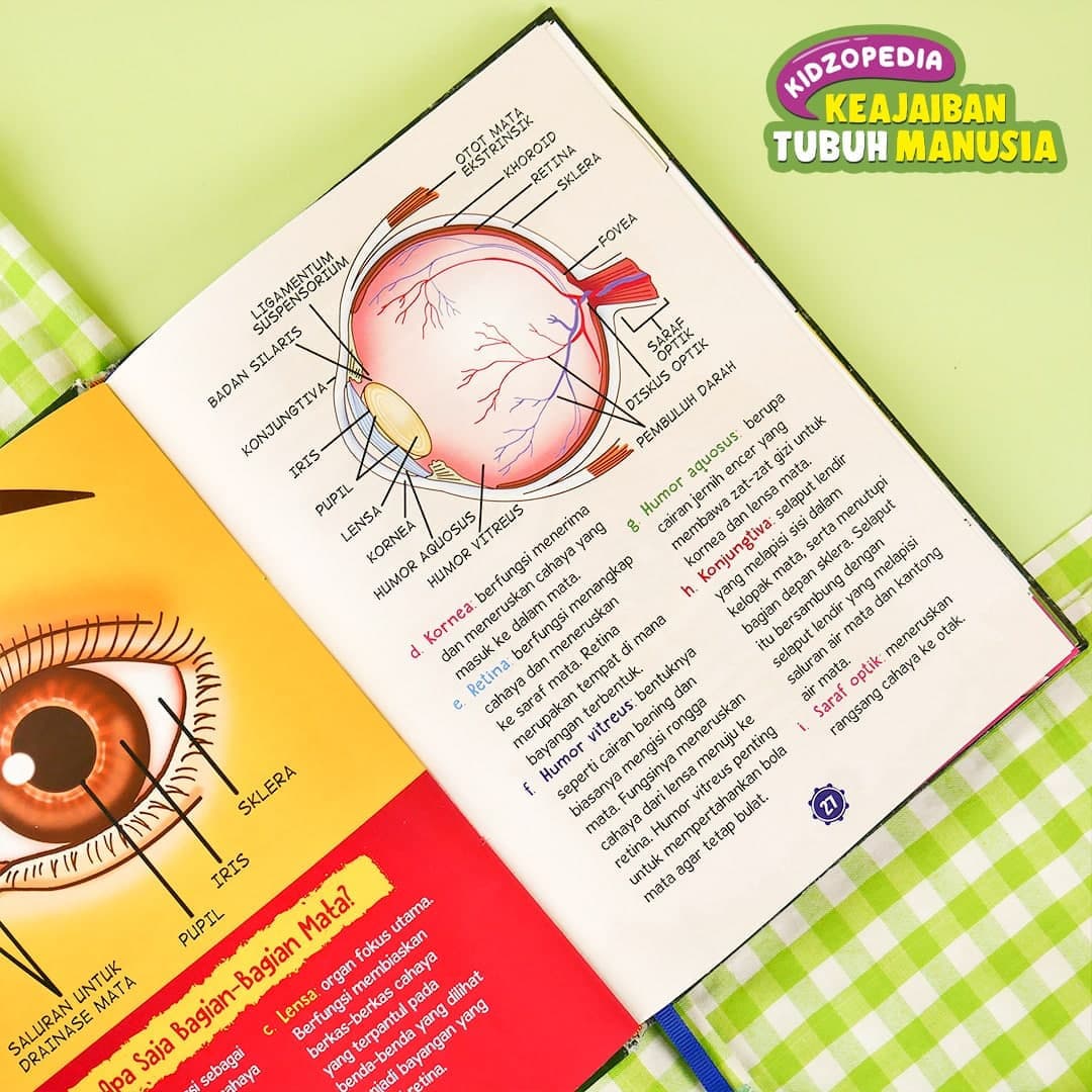 KIDZOPEDIA - Keajaiban Tubuh Manusia - foto 3