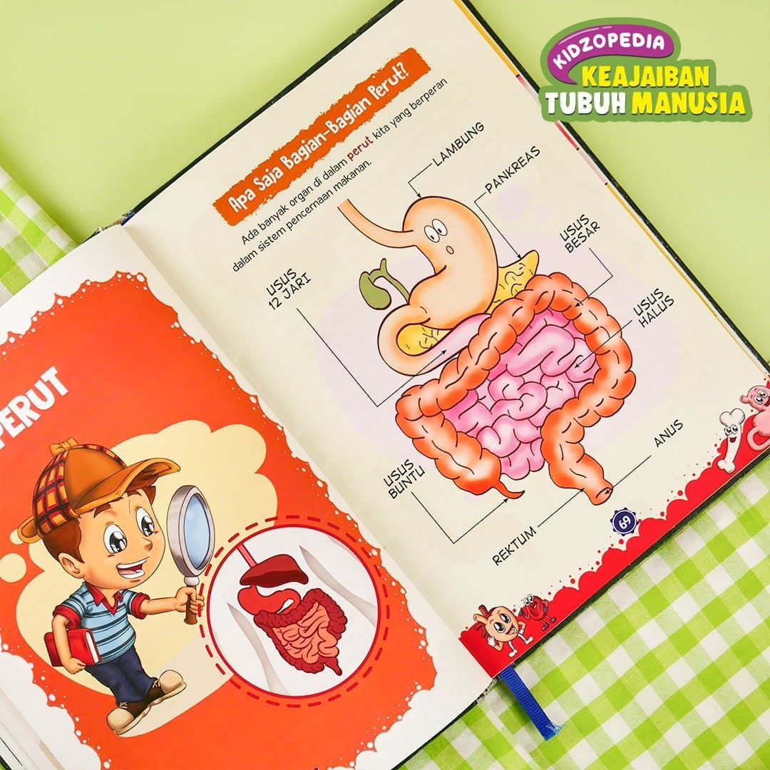 KIDZOPEDIA - Keajaiban Tubuh Manusia - foto 4