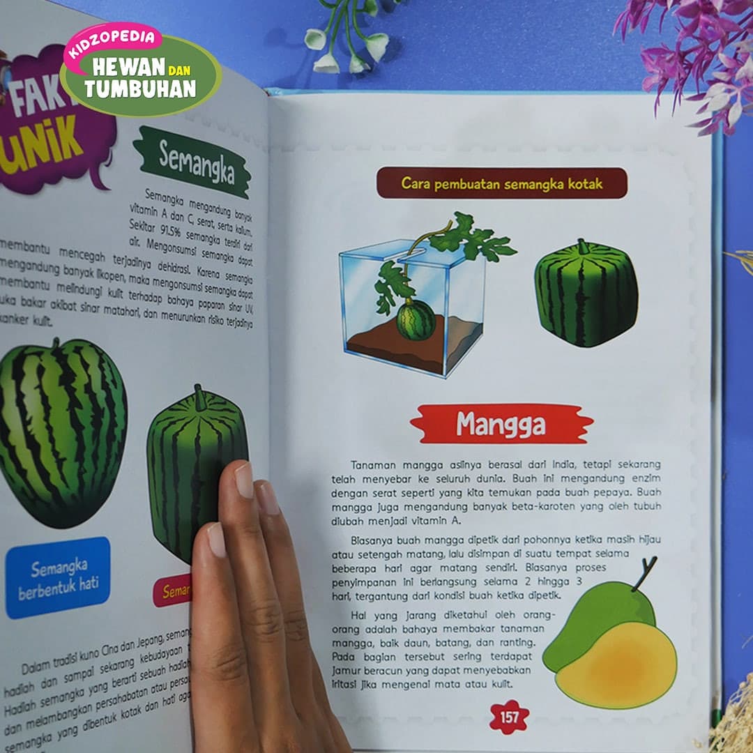 0739 - KIDZOPEDIA Hewan Dan Tumbuhan - foto 6
