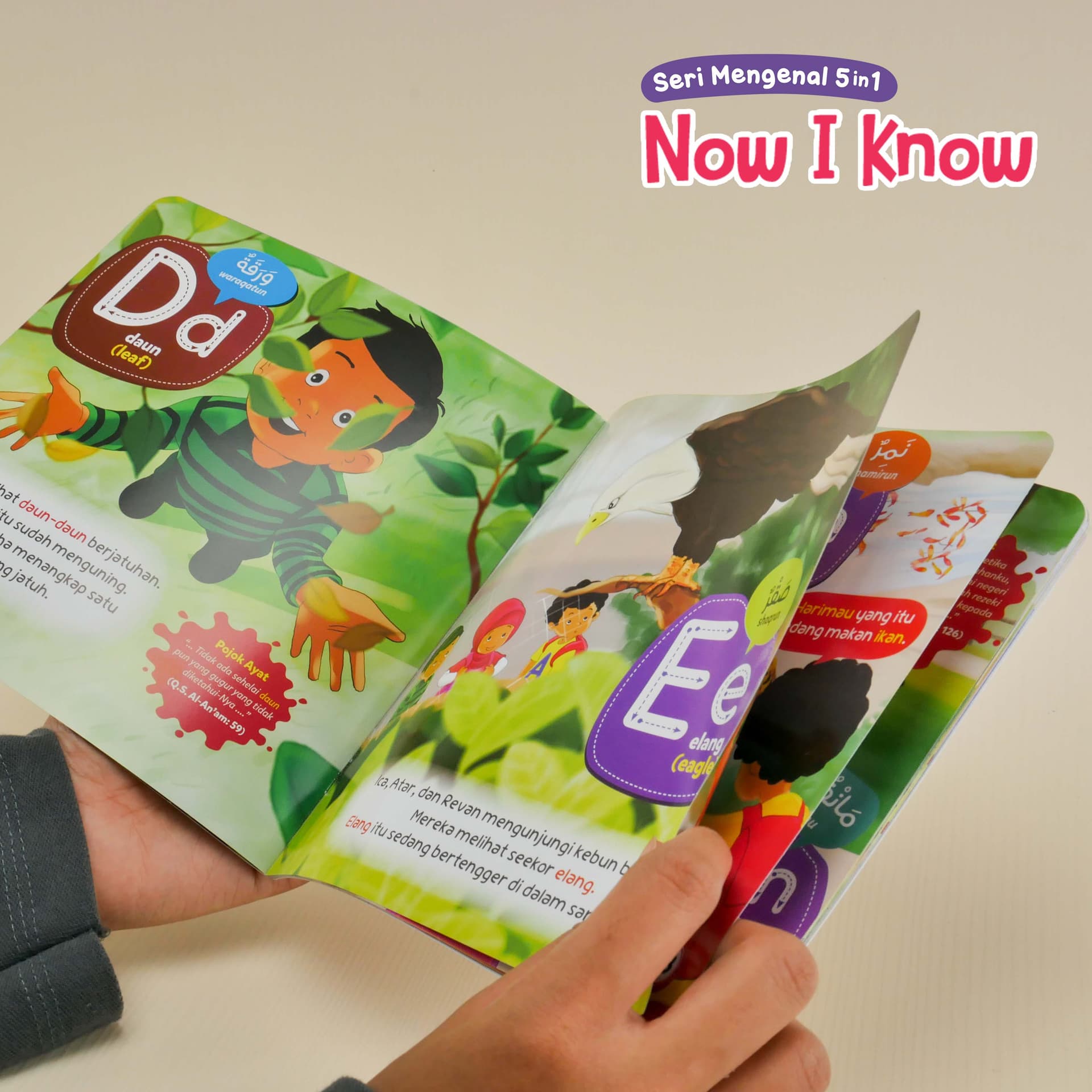 0457 - Paket Now I Know Seri Mengenal 5 in 1 - foto 4