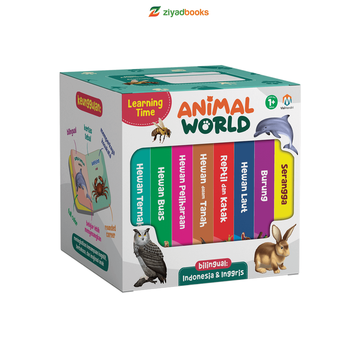 Learning Time Animal World