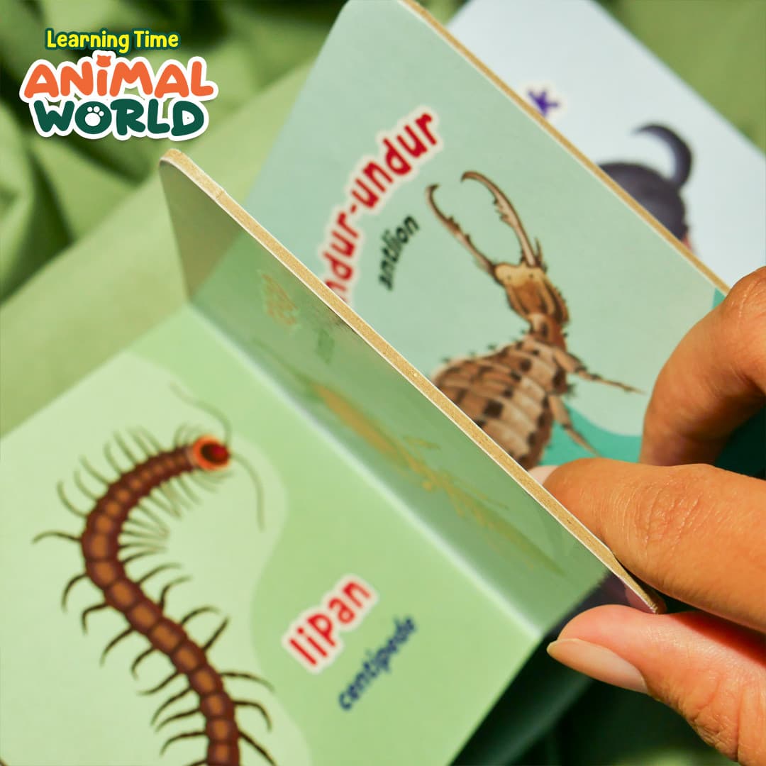 0779 - Learning Time Animal World - foto 8