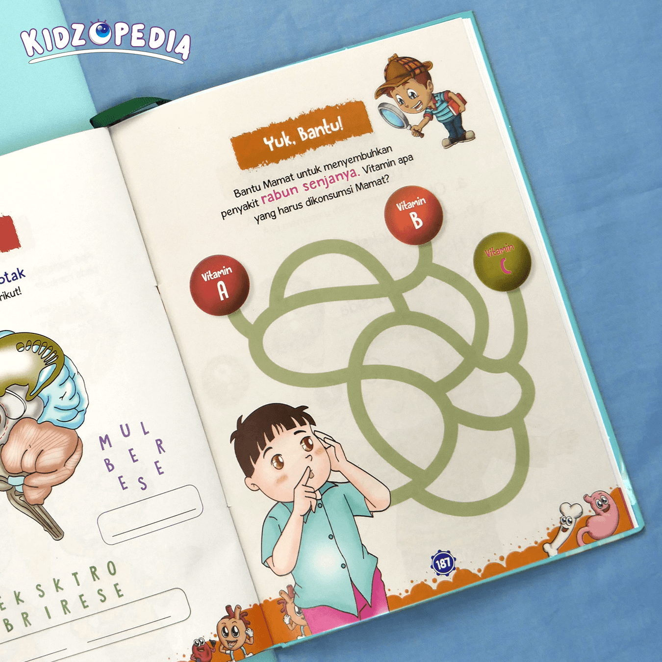 KIDZOPEDIA - Keajaiban Tubuh Manusia - foto 14