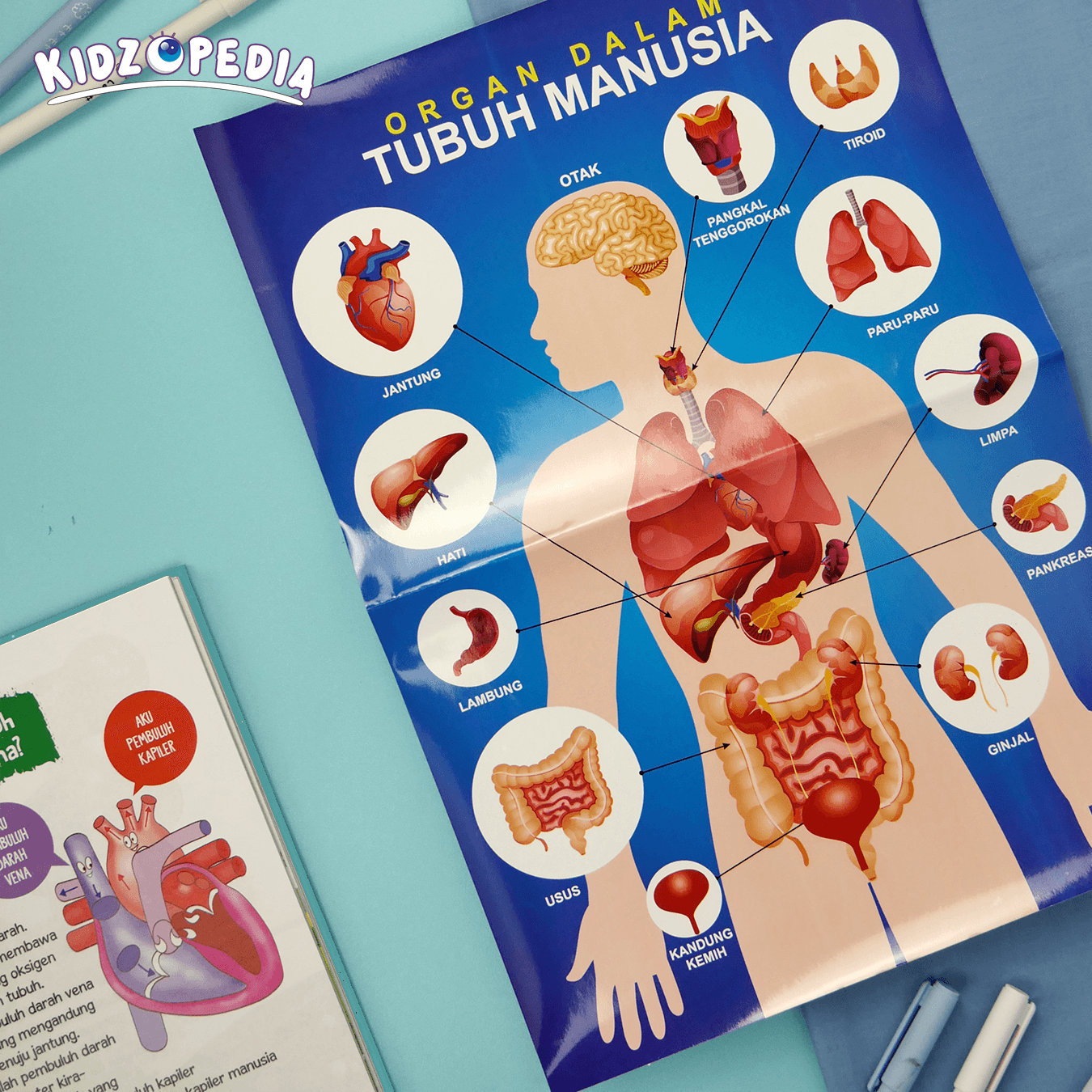 KIDZOPEDIA - Keajaiban Tubuh Manusia - foto 18